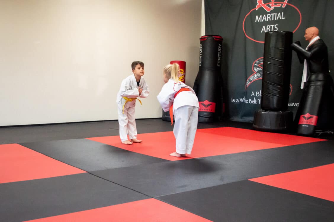 Key Martial Arts Programs image